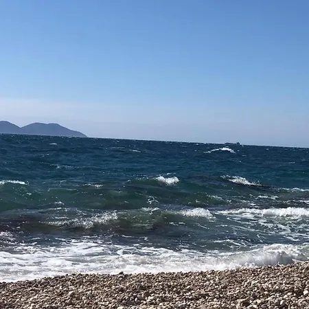Lola's * فلورا